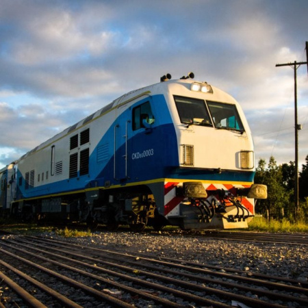 Limitan el servicio del tren Constitución-Mar del Plata por trabajos en las vías