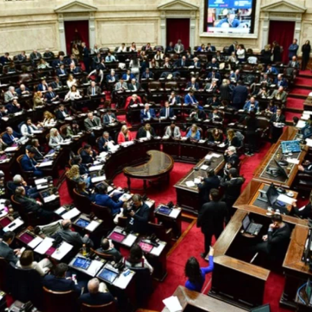 Diputados dejó solo al Gobierno y rechazó el veto a la ley de emergencia en discapacidad