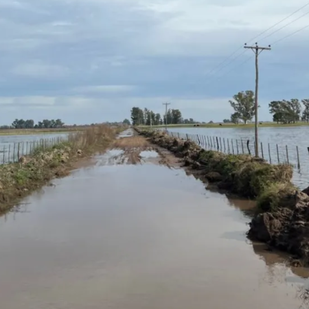 Carbap: situación crítica por las inundaciones en el centro de la provincia