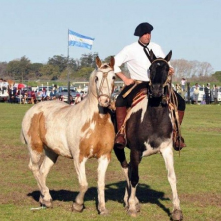 Fiesta Provincial del Mejor Reservado en Madariaga: jineteada, doma, payadores y comida de campo