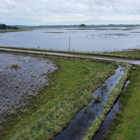 Inundaciones: miles de hectáreas bajo agua y reclamo por obras inconclusas