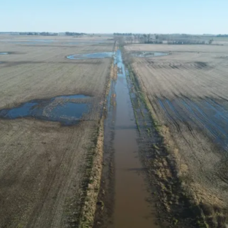 La Nación declara la emergencia agropecuaria en 12 partidos bonaerenses afectados por inundaciones