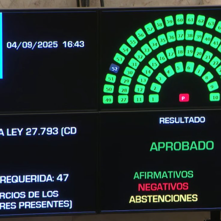 El Senado rechazó el veto de Milei y reactivó la ley de emergencia en discapacidad