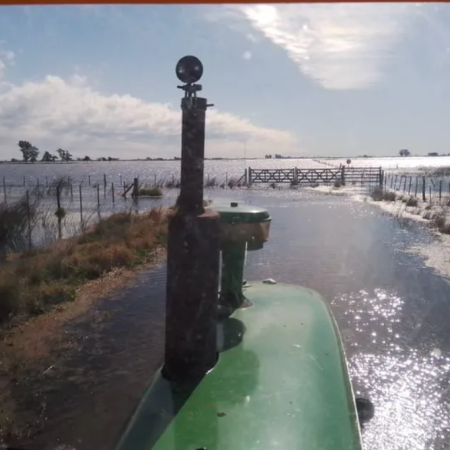 Ya son más de dos millones de hectáreas afectadas por inundaciones en la provincia, advierten desde Carbap