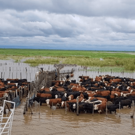 ARCA da alivio impositivo a productores bonaerenses afectados por inundaciones