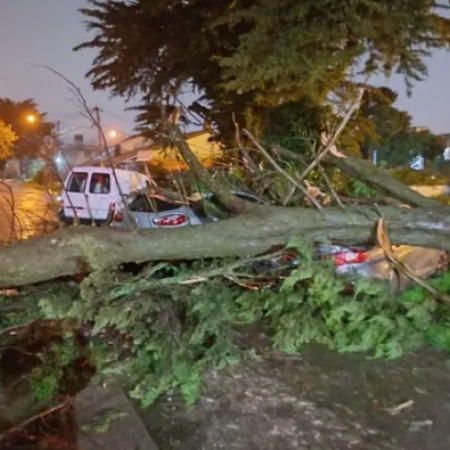 Temporal en Mar del Plata y Tandil deja “daños de consideración” y cortes generalizados de luz
