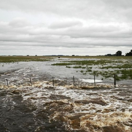 El Gobierno declaró la emergencia agropecuaria en diez municipios bonaerenses