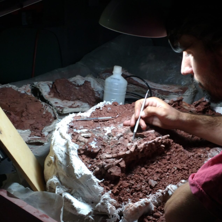 La UNLP participó del hallazgo de uno de los dinosaurios más antiguos del mundo en La Rioja