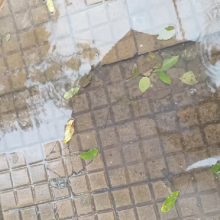 Del calor a la lluvia: gran parte de la provincia de Buenos Aires, en alerta amarilla por tormentas