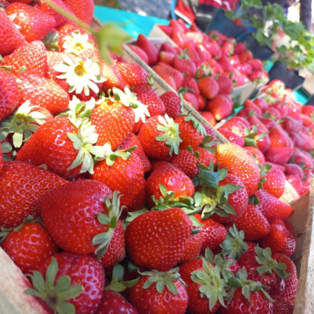 General Rodríguez celebra la 5ª Fiesta Municipal de la Frutilla