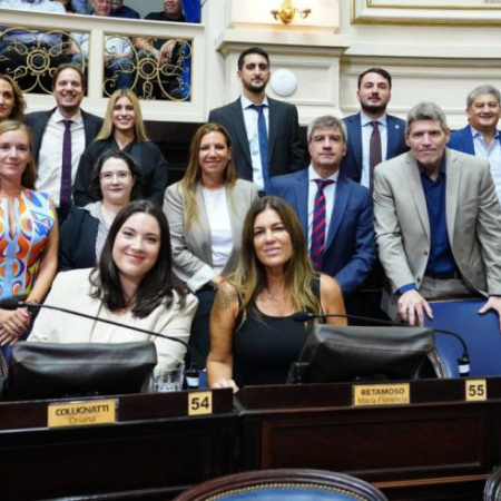 Senadores libertarios promueven la boleta única papel y apuntan al fin del robo de boletas