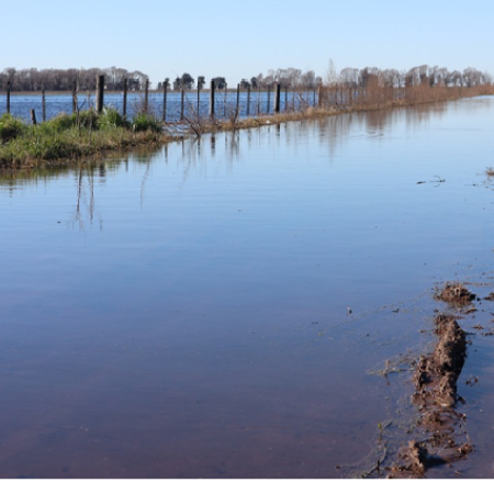 Crisis hídrica en la provincia: casi 6 millones de hectáreas afectadas por las inundaciones