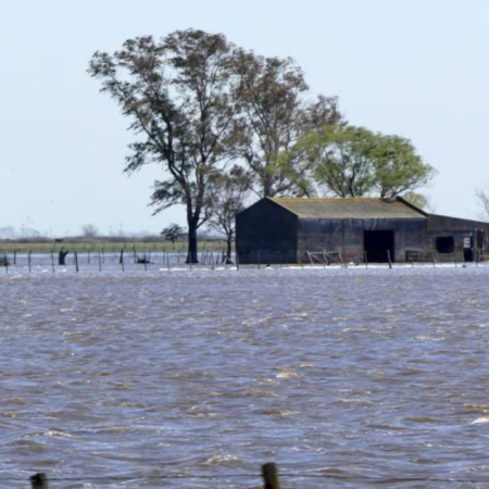 CARBAP alertó por la crisis hídrica y reclamó obras pendientes: “Si no se actúa, va a volver a pasar”