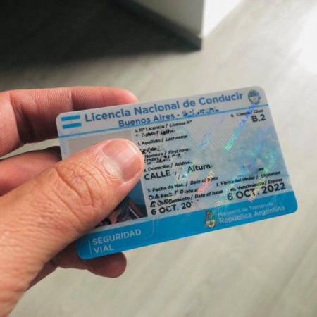 La Provincia suspendió la licencia de un influencer por grabarse en videollamada mientras manejaba