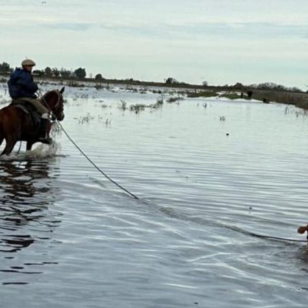 Reclamo urgente por la paralización del tramo crítico del Salado entre Ernestina y la RN205