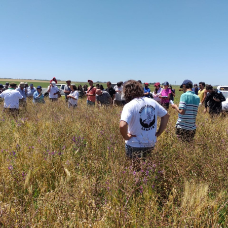 Guaminí será reconocida como “Faro de la Agroecología” por sus 5.000 hectáreas libres de agroquímicos