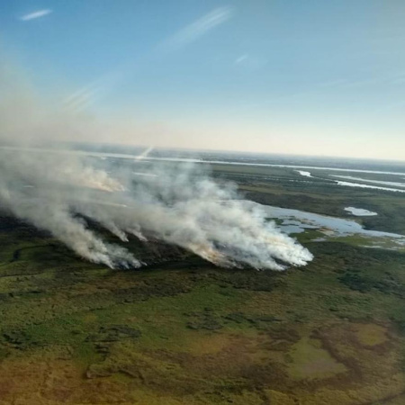 La Corte Suprema ordenó ejecutar el PIECAS en el Delta del Parana