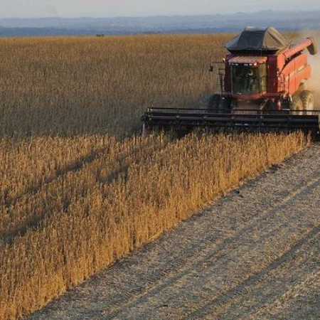 El Gobierno oficializó una baja de retenciones para soja, cereales y oleaginosas