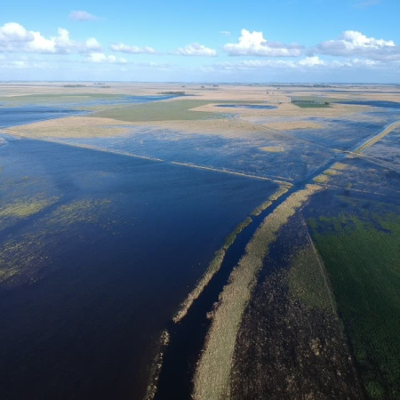 Nación prorrogó la emergencia agropecuaria en 9 municipios bonaerenses
