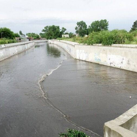 Un estudio del Conicet detectó Viagra y otros fármacos en ríos y arroyos del AMBA