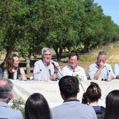 La Provincia lanzó la Ruta del Olivo en el sudoeste bonaerense