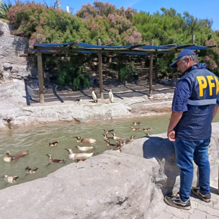 Allanaron el Aquarium de Mar del Plata por presunta contaminación