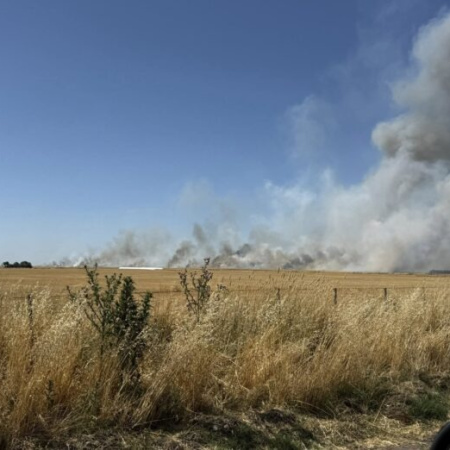Incendios rurales: CARBAP alertó por riesgo extremo y pidió asistencia inmediata en campos bonaerenses