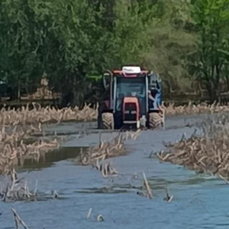 Inundaciones: prorrogan la emergencia agropecuaria a varios distritos bonaerenses
