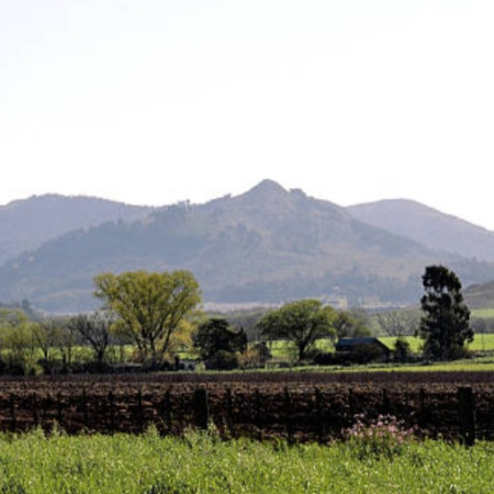 Un 5 % de la tierra rural de Tandil está en manos de extranjeros