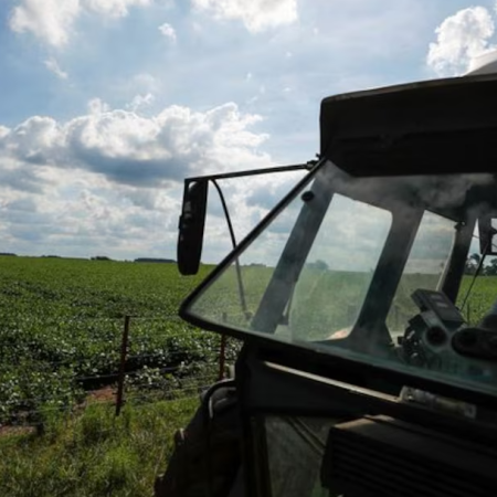 Advierten que dos municipios bonaerenses superan el tope legal de tierras en manos extranjeras