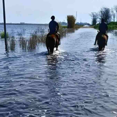 La Provincia extendió la emergencia agropecuaria en Guaminí y Coronel Suárez