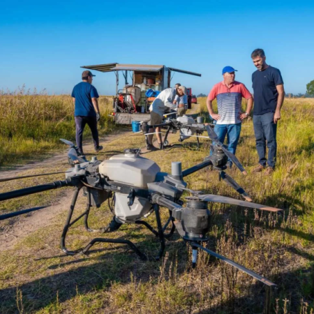 Municipio del interior combate el avance del barigüí con drones: calificaron la situación como “crítica”