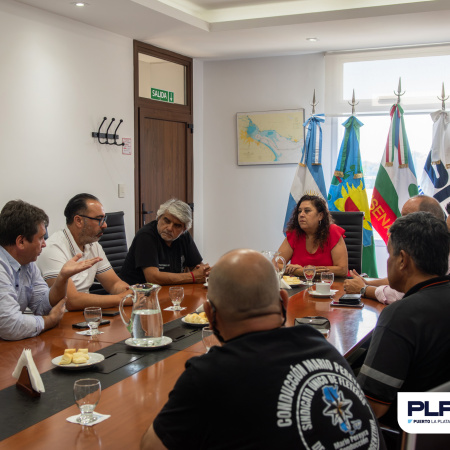 Resolución del Puerto La Plata sobre serenos de buques