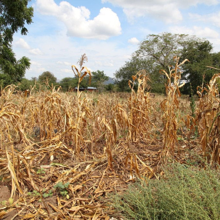 Enero fue el más seco en 60 años y crece la preocupación en el norte bonaerense