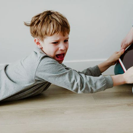 Avanza en la provincia un proyecto para prohibir redes sociales a menores de 13 años