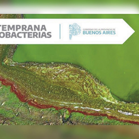 Doce lagunas bonaerenses en alerta naranja por cianobacterias y Pehuajó en rojo
