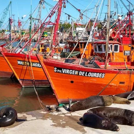 El sector pesquero advierte que sin eliminar las retenciones la actividad puede frenarse