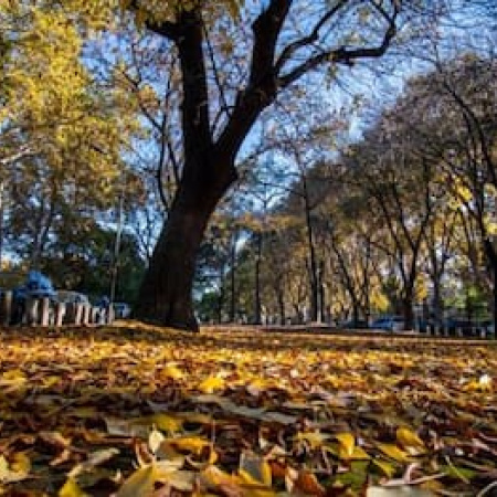 Pronostican un otoño caluroso y con lluvias normales en distritos bonaerenses