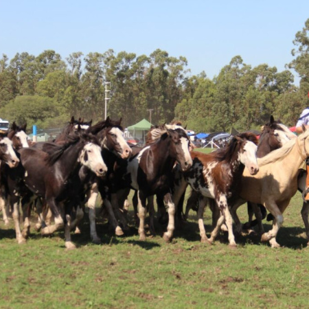 La provincia se llena de carnavales y fiestas este fin de semana