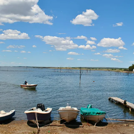 Desapareció el Pejerrey de la Laguna Chasicó en Villarino