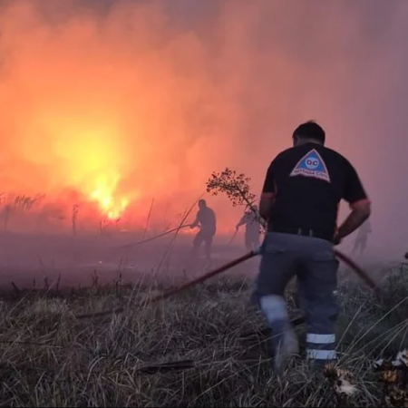 Incendios forestales en el sur de Mar del Plata ya afectaron más de 200 hectáreas