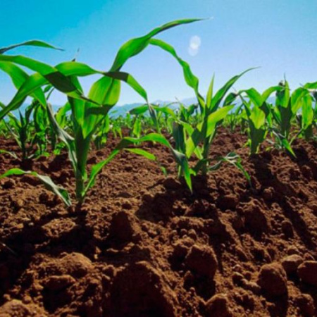 Luego de tres décadas, regresa la expo Magdalena Produce