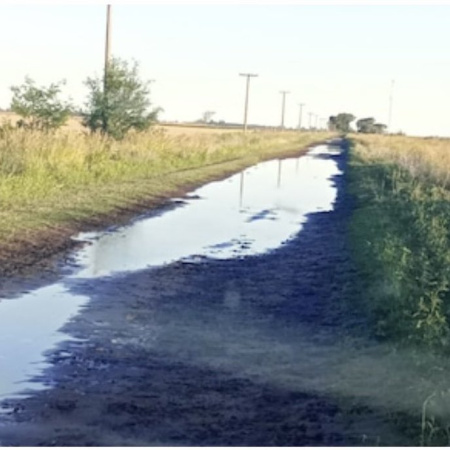 La Justicia ordenó devolver cobros por tasa vial en Daireaux y fijó un precedente