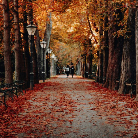 Otoño: en qué distritos sufrirán por calor y mayores lluvias