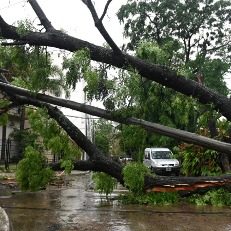 Intenso temporal afectó al AMBA: inundaciones y destrozos en distintas zonas