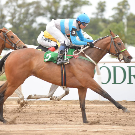 Chau cash: la Provincia obliga a usar QR en agencias, hipódromos y casinos