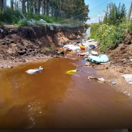Arroyo Tapalqué: entre la desidia del Estado y la lucha de docentes y alumnos