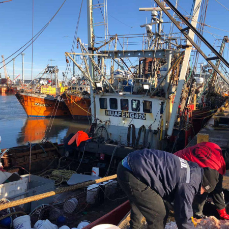 Mar del Plata: tensión en el sector pesquero por medidas del sindicato naval