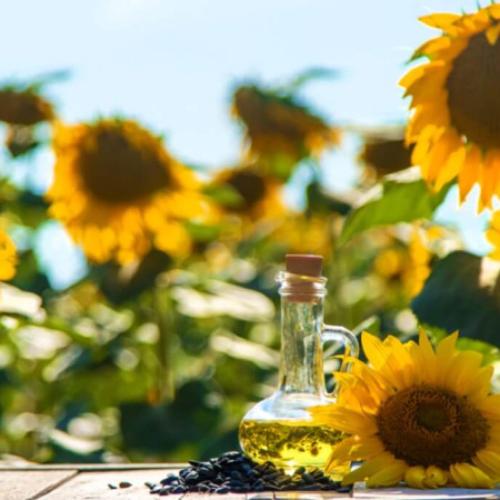 El girasol argentino alcanzó una marca récord de producción y exportaciones