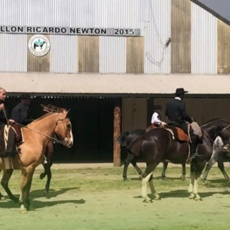 Chascomús: la Expo Caballos 2026 reunirá al mundo ecuestre en el finde largo